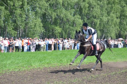 В Агрызе состоялся народный татарский праздник - Сабантуй