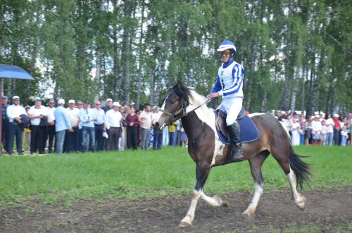 В Агрызе состоялся народный татарский праздник - Сабантуй