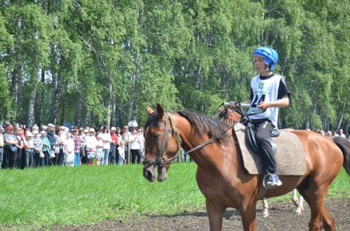 В Агрызе состоялся народный татарский праздник - Сабантуй