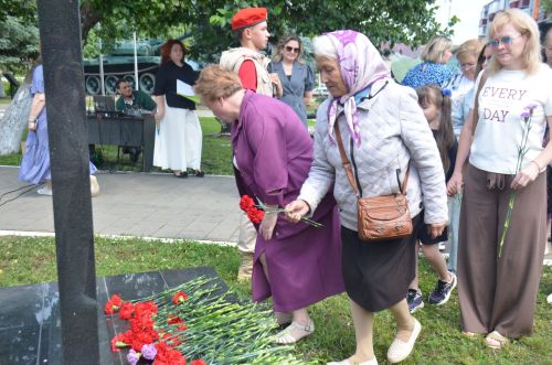День ветеранов боевых действий в Агрызе