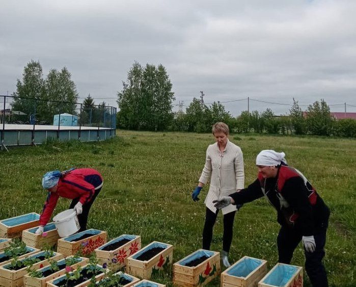 Учащиеся Терсинской школы изготовили 70 вазонов для посадки цветов