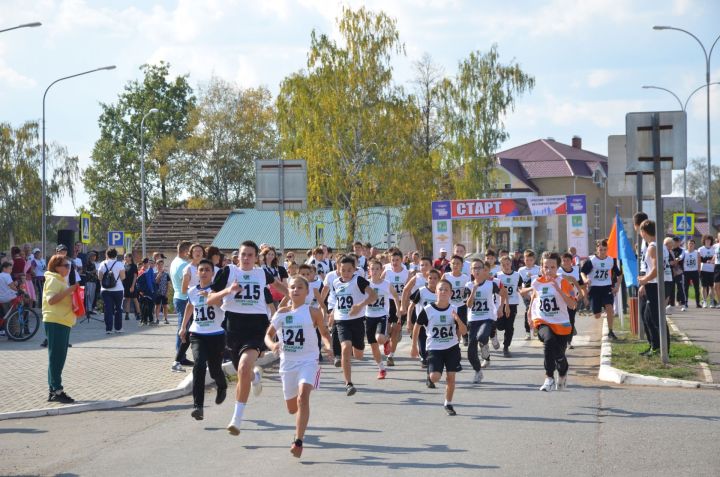 Агрыз спортивный: спортивные объекты города