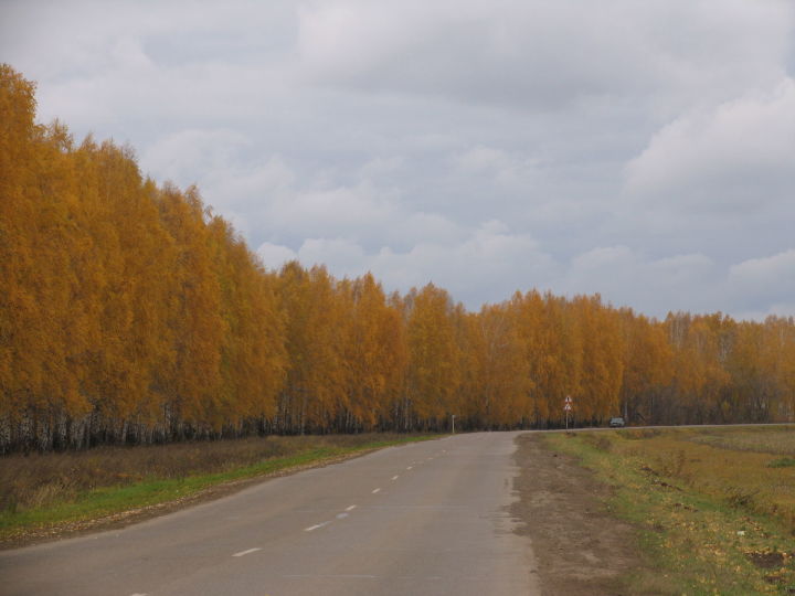 Кырык елдан соң (Яңавылдан Розалия Кәримова ХИКӘЯСЕ)