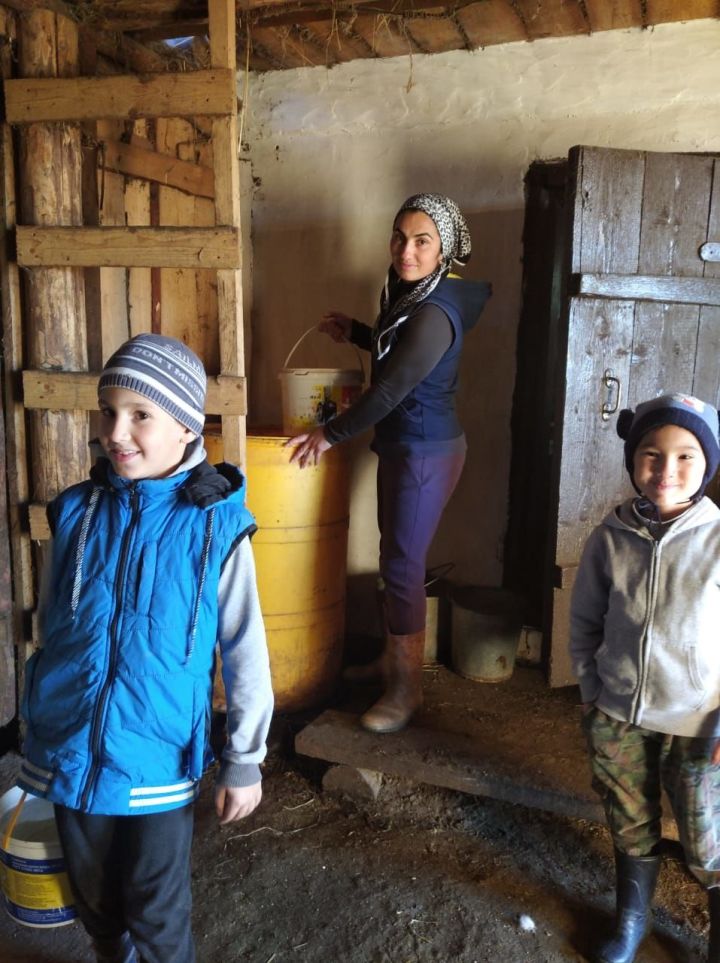 Молодая мама из Агрызского района держит 4 коровы, 4 теленка и 200 голов птиц