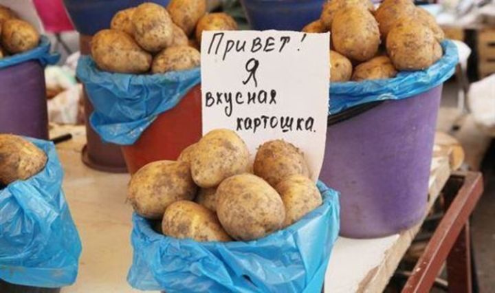 Власти Татарстана установили норматив на доход от продукции с личного хозяйства