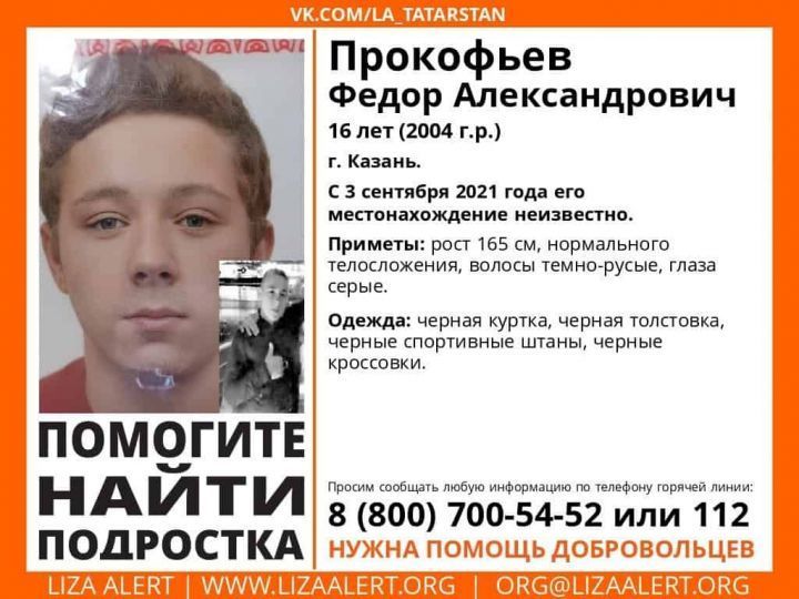 В Татарстане ищут подростка, пропавшего 10 дней назад