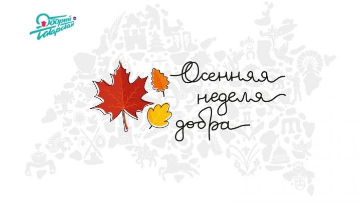45 районов Татарстана присоединились к Всероссийской акции «Осенняя неделя добра»