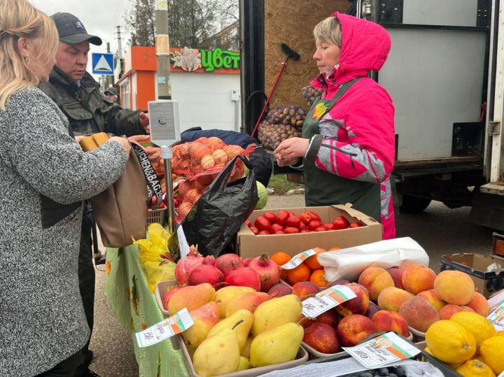 В Агрызе состоится ярмарка