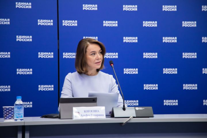 Альфия Когогина: Партпроект «Предпринимательство» возьмет на контроль решение вопроса двойного налогообложения и  других важных проблем предпринимателей