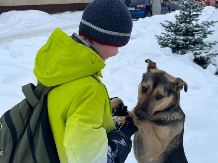 В программу «Вечерней предновогодней гонки» внесены изменения