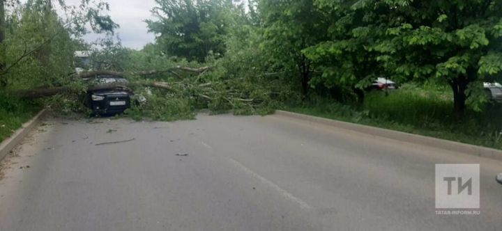 Дерево рухнуло прямо на машину в Казани - водителя зажало в салоне