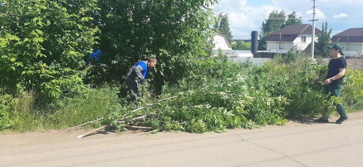 Сотрудники РЭГС в Агрызе вышли на большой субботник