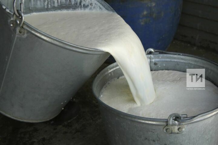 Агрызский район вышел на 4 место в РТ по динамике развития молочного производства и наращиванию молока
