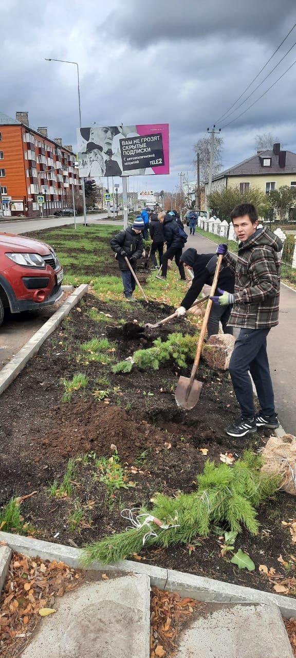 Школьники принимают активное участие в посадке деревьев в Агрызе