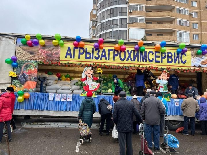 Агрызцы участвовали в ярмарке в Казани