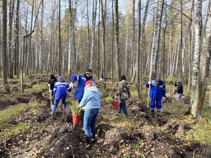 Работники АО «Транснефть – Прикамье» приняли участие во Всероссийской экологической акции