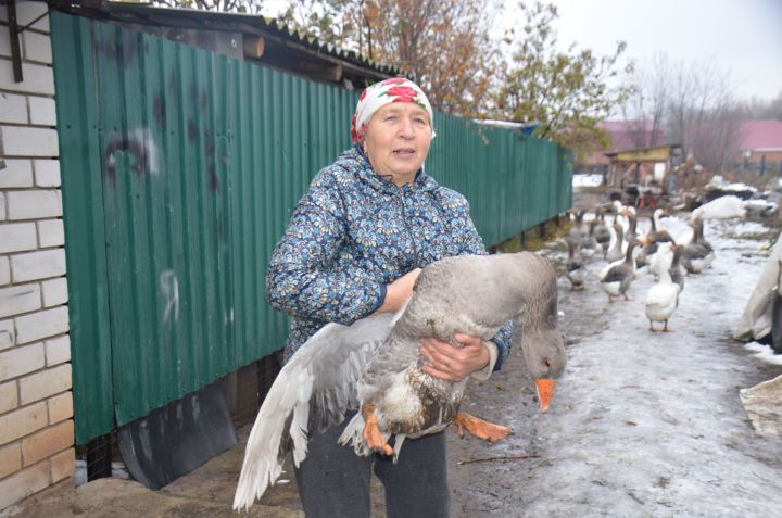 Гульфия Шигабиева из Кучукова: Народные традиции уже забываются