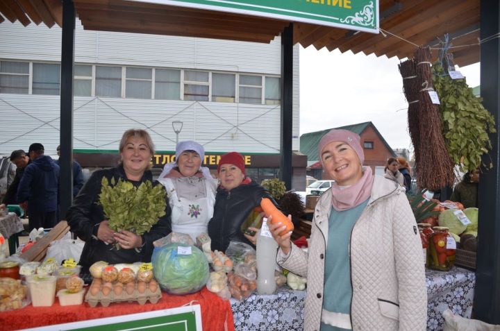 На этой неделе в Агрызе пройдет сельхозярмарка