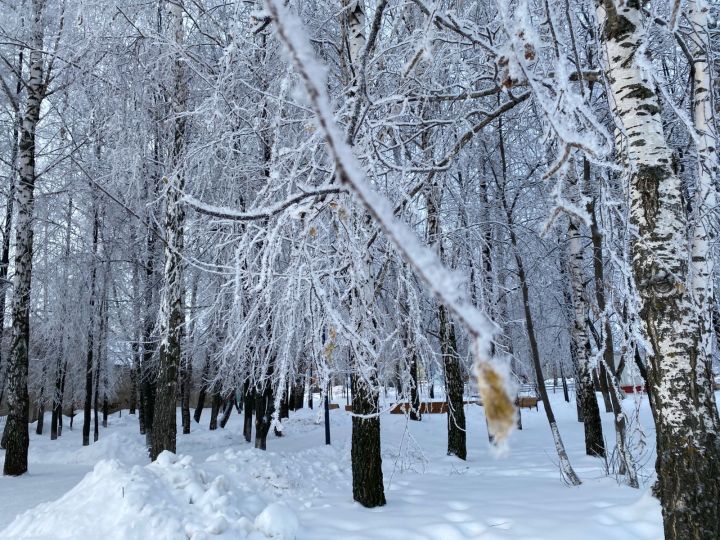 Татарстанда бераз кар һәм җил көтелә