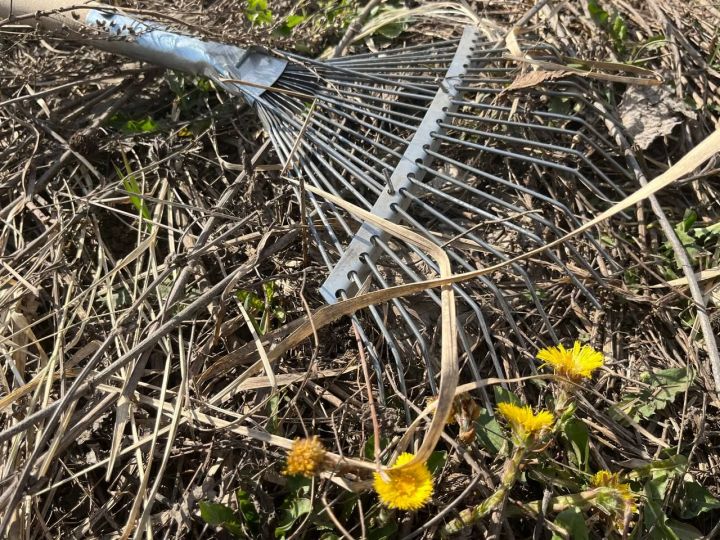 Жителей Агрыза приглашают на субботники на ул.Ометова и в парк «Орешник»