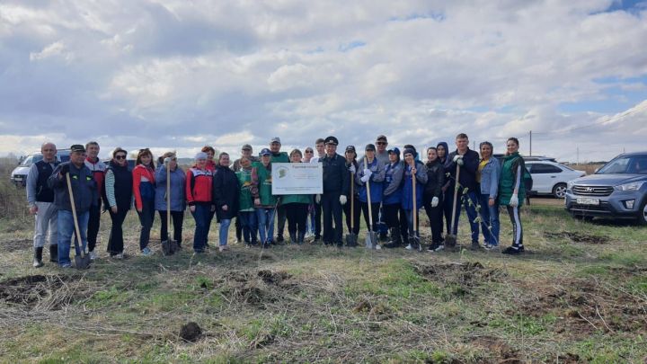 500 саженцев рябины и березы посадили в Агрызе в память о героях-земляках