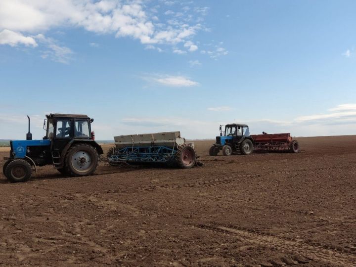 В хозяйствах района продолжается посевная