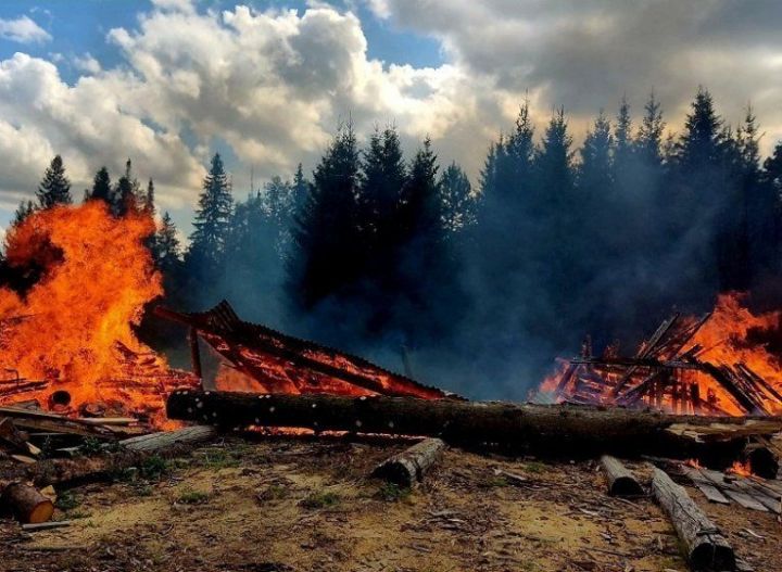 Пожарные не позволили огню перекинуться с пилорамы на лес недалеко от Агрыза