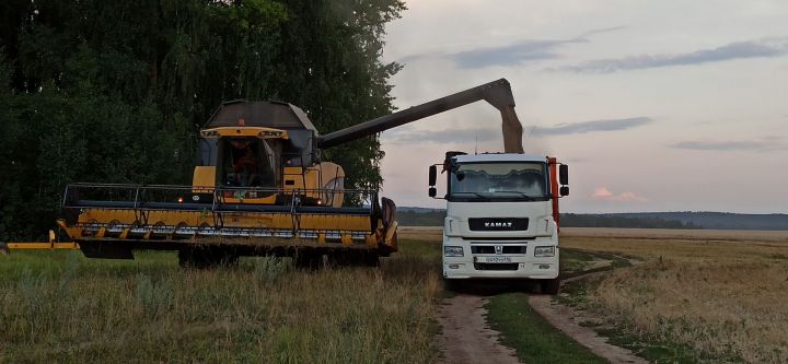 Во всех крупных и фермерских хозяйствах Агрызского района полным ходом идет уборка зерновых культур