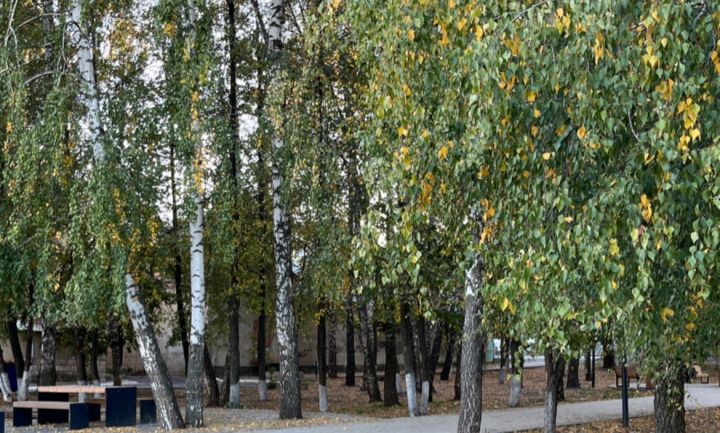 Бүген Татарстанда +26 градуска кадәр җылы көтелә