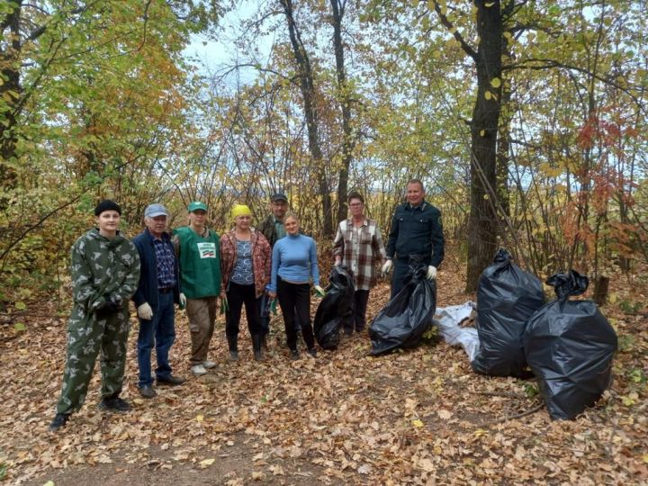 Стартовала осенняя природоохранная акция «Чистые леса Татарстана»