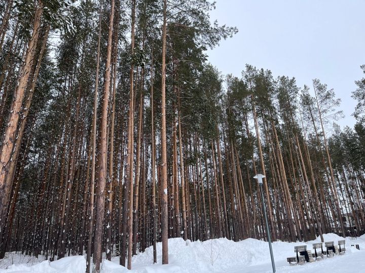 Татарстанда кабат көчле буран, кар һәм җил көтелә