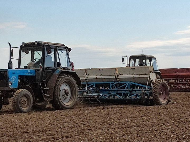 В Агрызском районе посевные работы осуществлены на площади 11 059 гектаров
