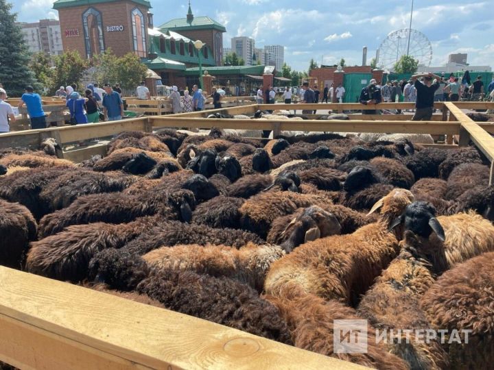 Корбанлыкны гаилә исеменнән чалу дөресме?