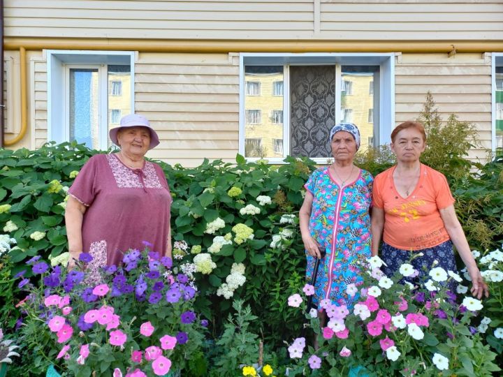 Жильцы дома М.Горького №2 каждый год создают красоту под окнами своего подъезда