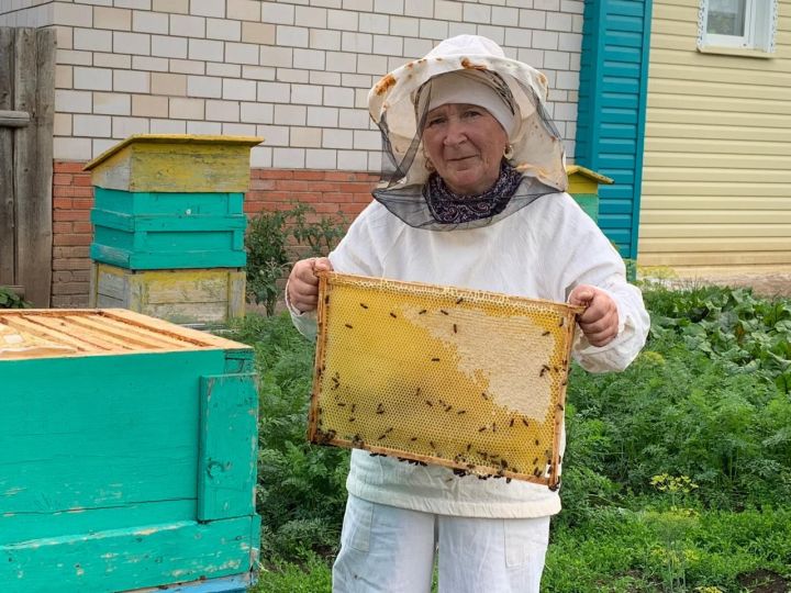 Гульфия Миннахметова из Биктова уже 40 лет занимается пчеловодством