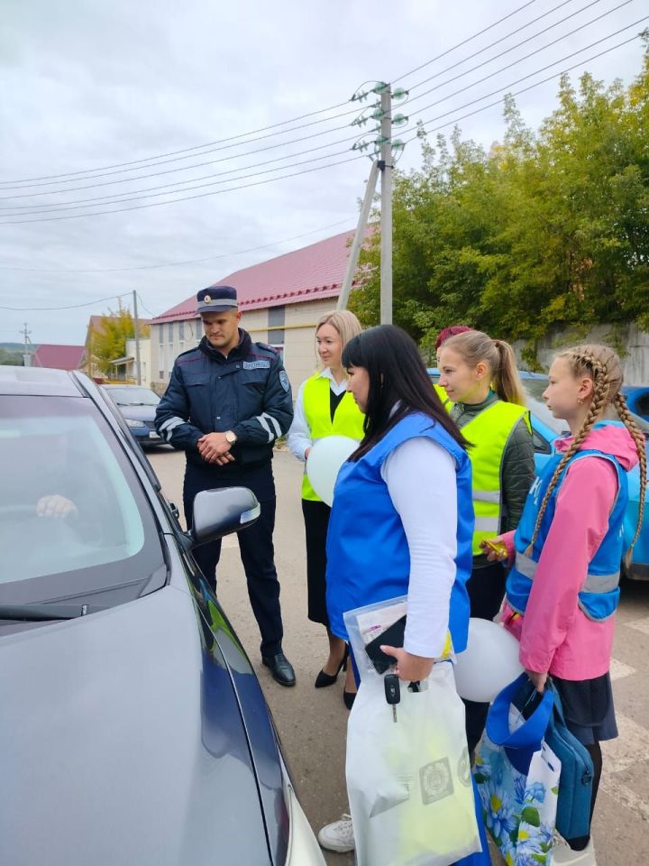 В Агрызе прошла акция «Ребенок - главный пассажир»