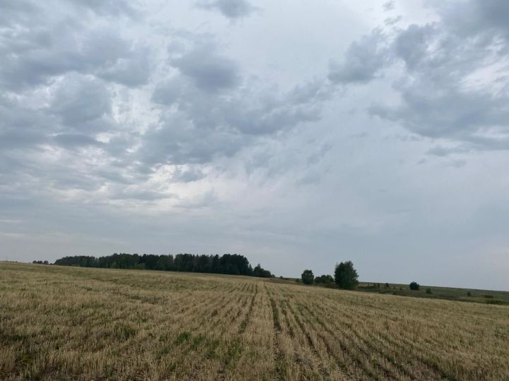Районда кыр эшләре дәвам итә