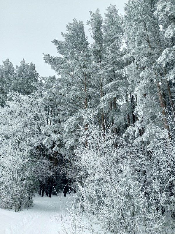 Прогноз погоды на 19 декабря