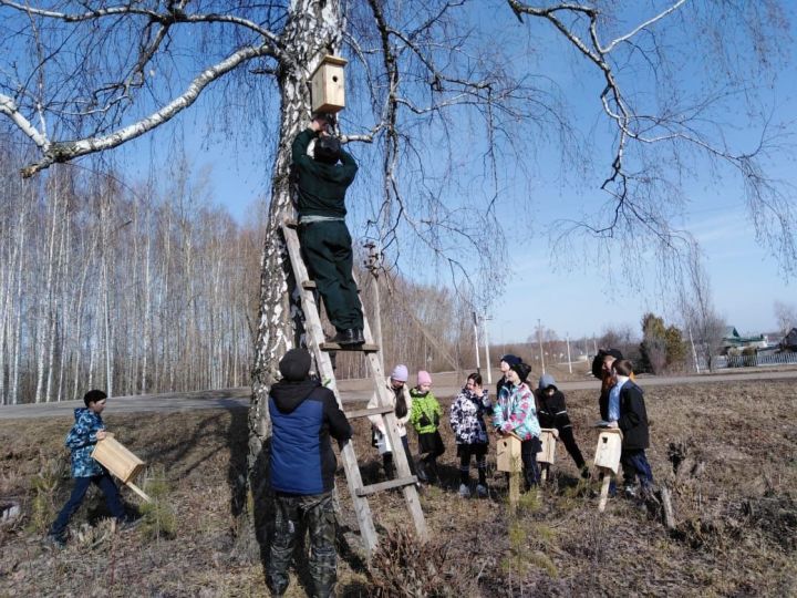 Ученики Кучуковской школы создали скворечники к Международному дню птиц