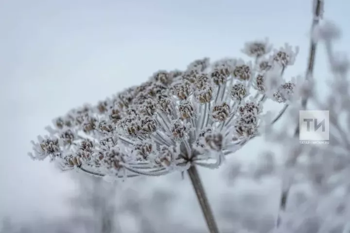 Татарстанда суыклар ял көннәрендә генә чигенәчәк