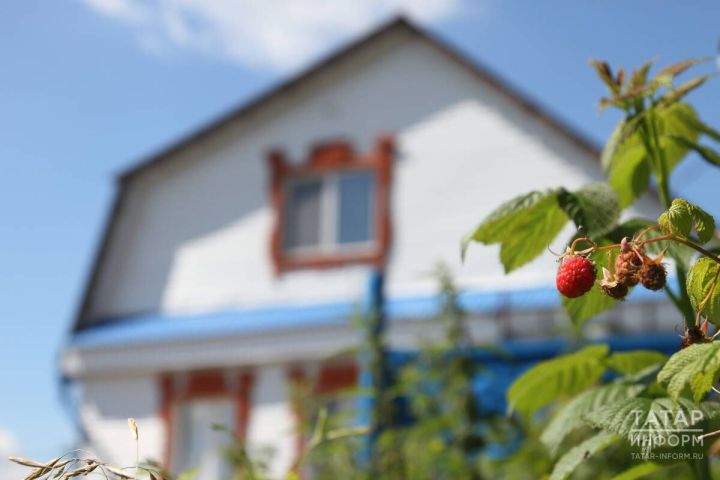 Дача сезонына әзерлек: кулланучы хокукларын ничек якларга