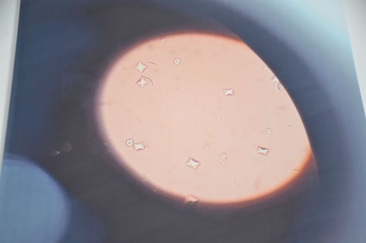 Кечкенә күзәнәктә – зур дөнья