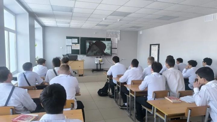 В колледже транспортной инфраструктуры прошли кинопоказы в рамках профилактической работы